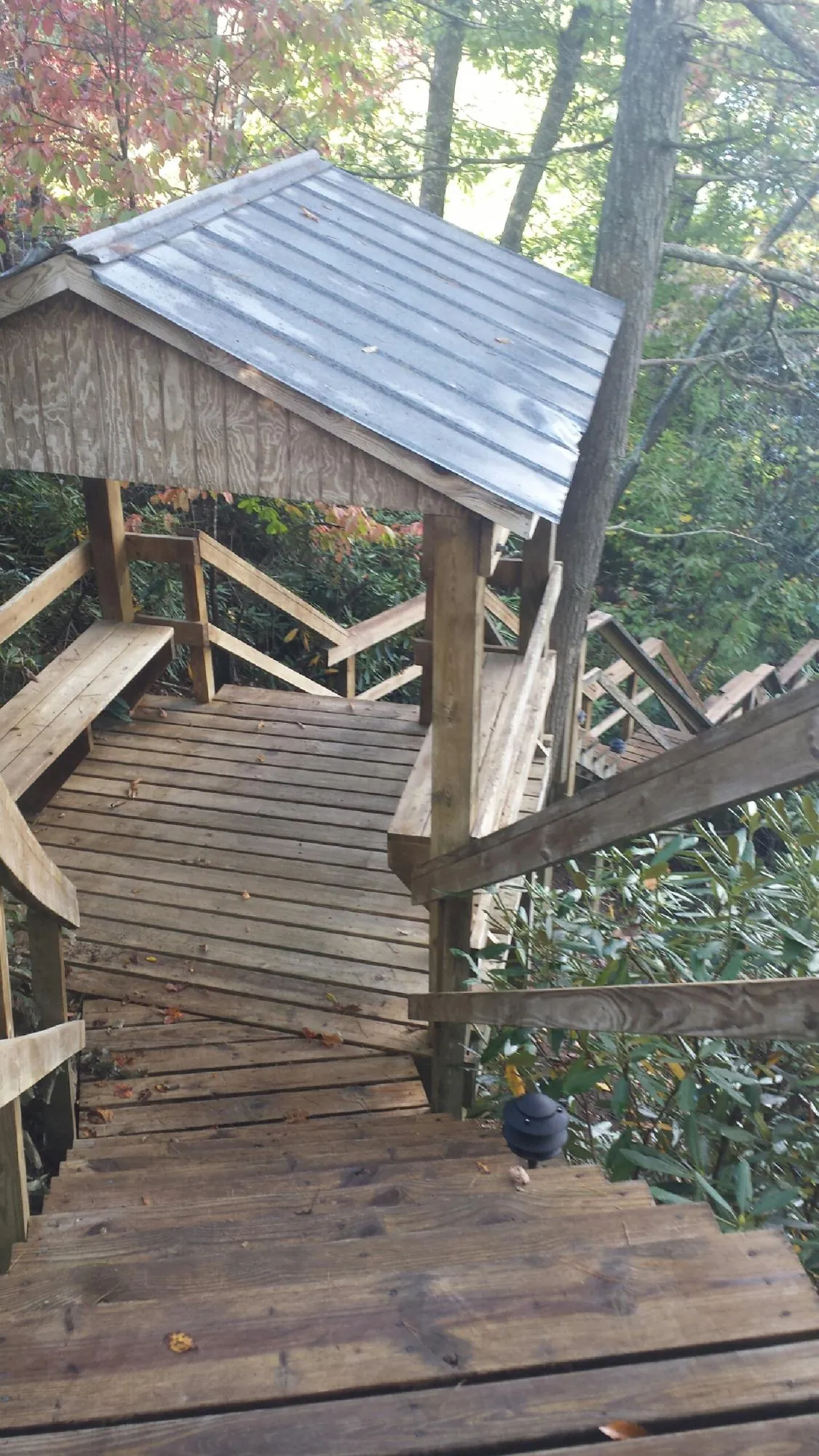 Metal roofed shelter over wooden steps on a wooded walkway — Skylight Repair & Installation work by our crew in Bronwood